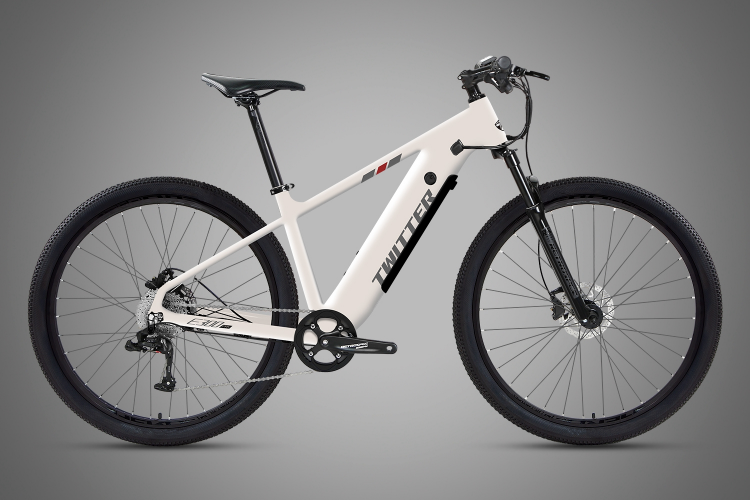 ebike